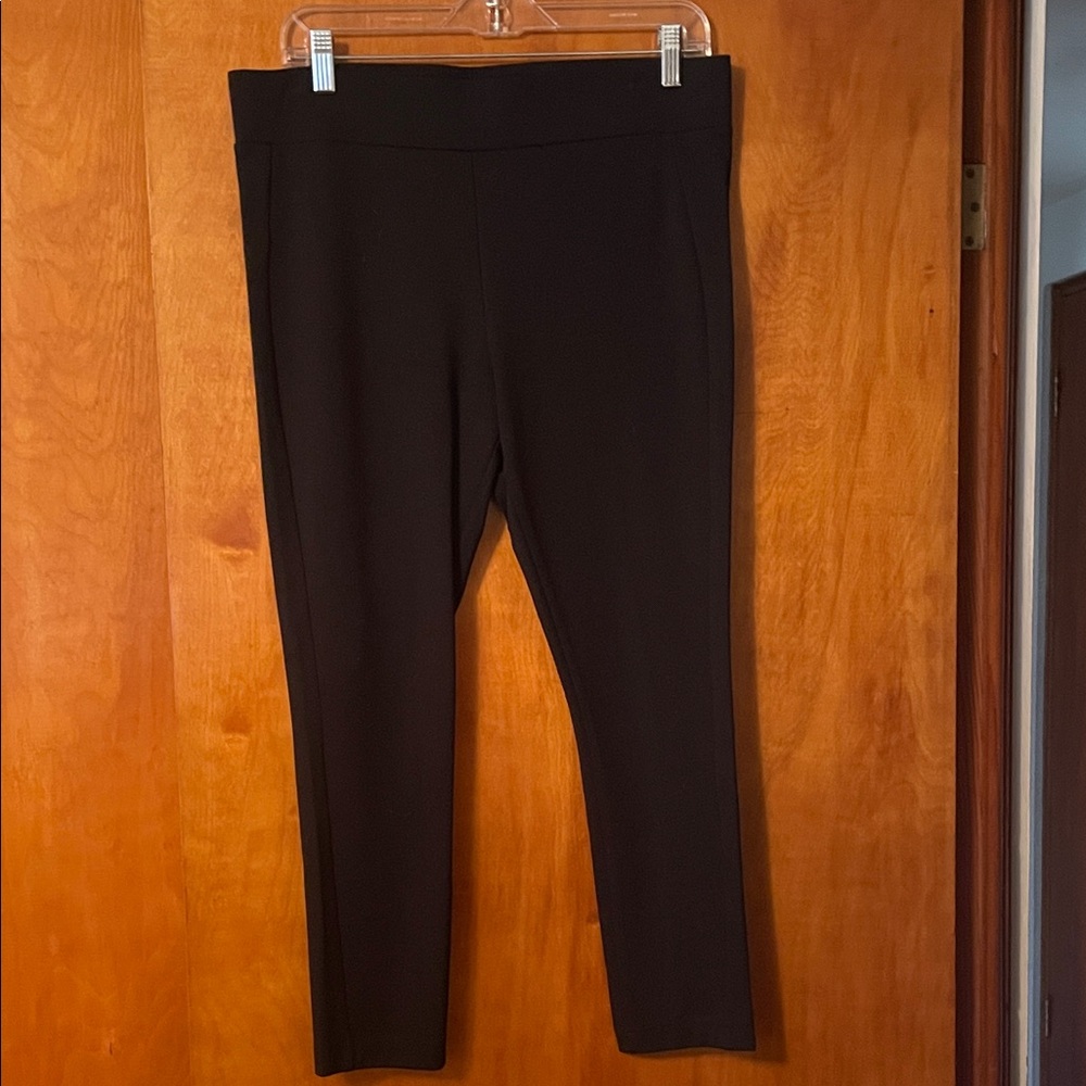 Ann Taylor Petite Large NWOT work/casual pants